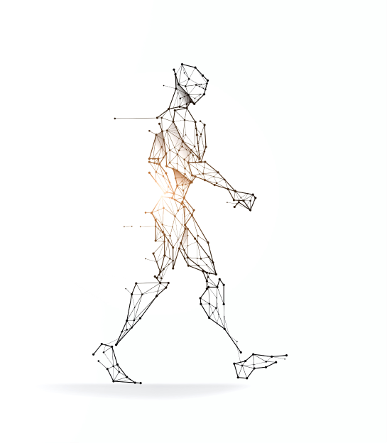 online fisioterapia