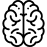 fisioterapia neuropatias